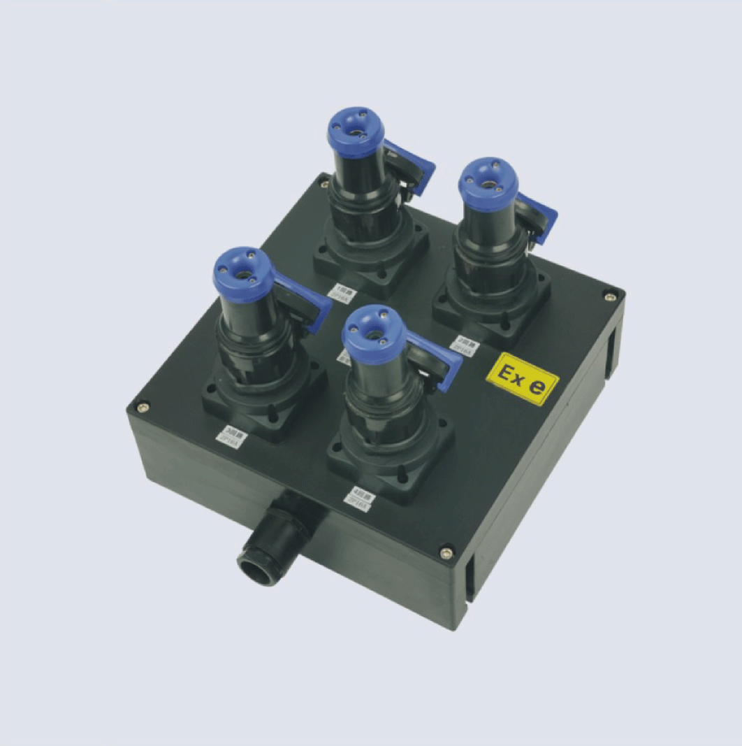 BXX8050-系列防爆防腐檢修電源插座箱(IIC、 ExtD)