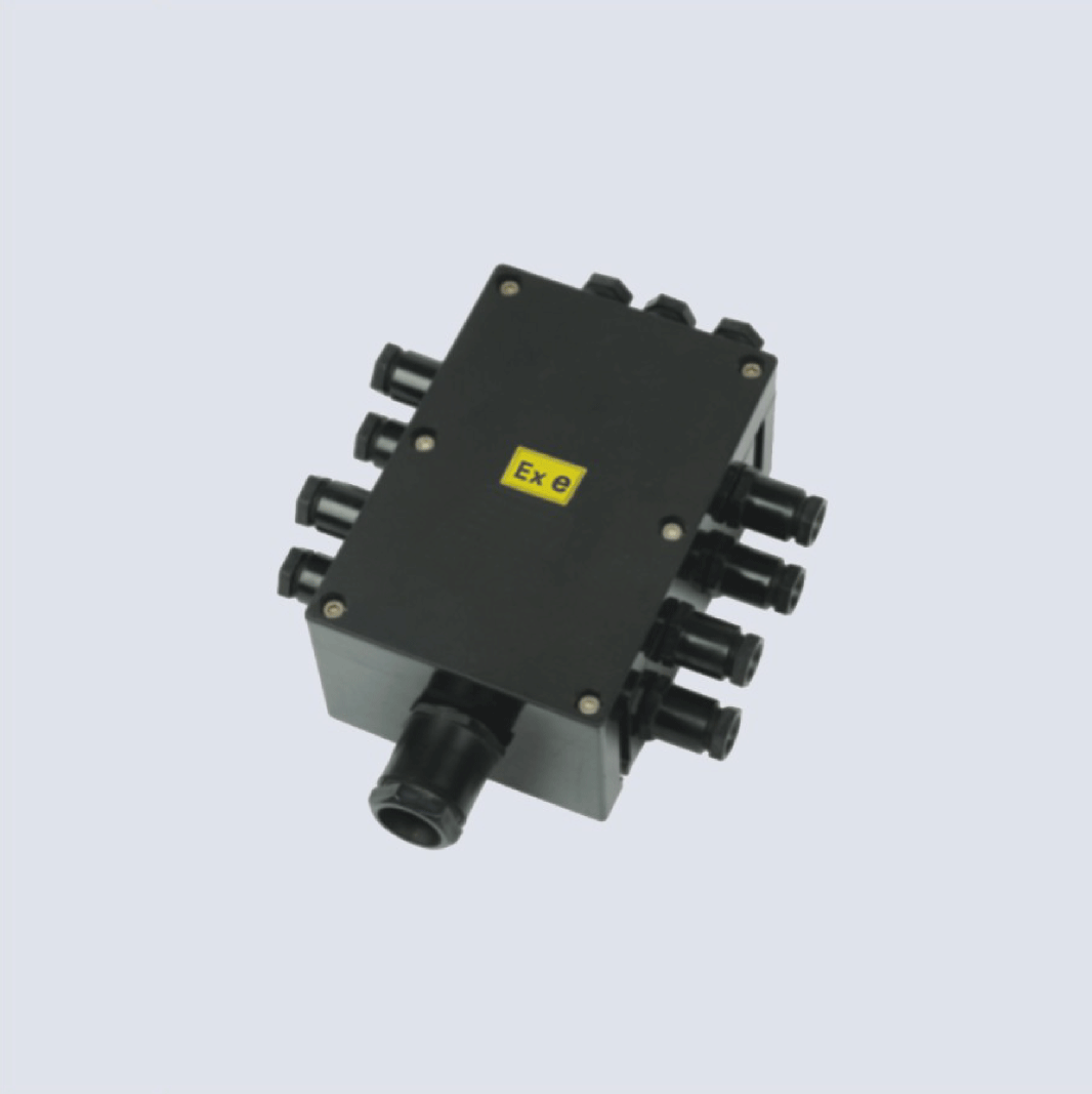BJX8050系列防爆防腐接線箱(II C、 ExtD)